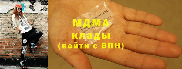 индика Богородицк